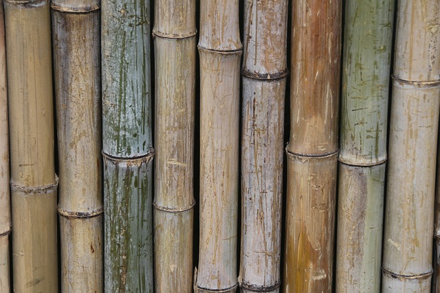 La cle usb en bambou